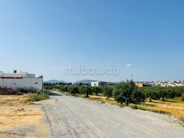 IMG_7078