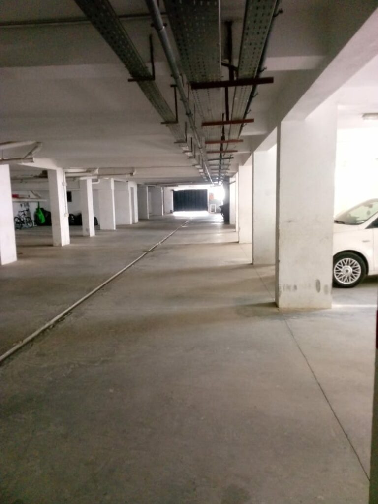 1000008146